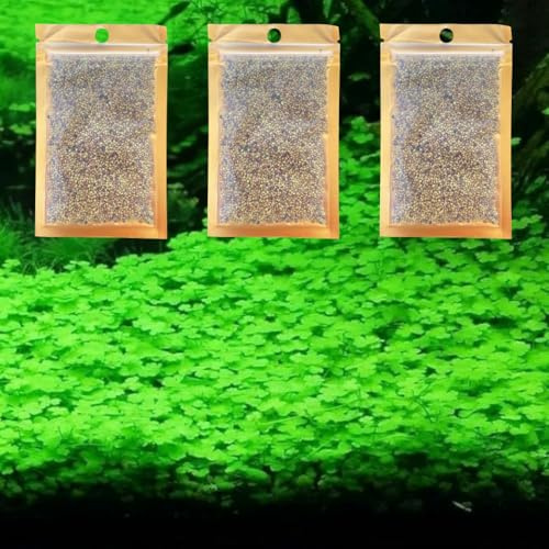 3 Pack Freshwater Aquarium Decor, Easy Growing Dwarf Carpet for Fish Tank/Terrarium, Natural Aquatic Plant Growth Material (Lucky Grass)