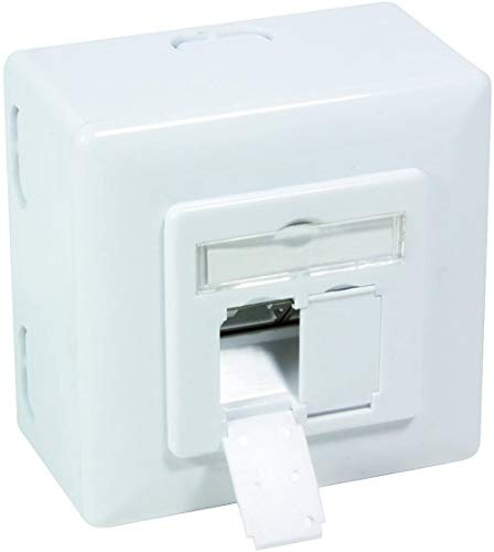 BIGtec Unterputzdose Netzwerkdose CAT6 universal LAN Dose Kombidose Aufputz oder Unterputz Gigabit Netzwerk Datendose RAL9003 weiß für Verlegekabel Cat5 Cat5e Cat6a Cat7 Cat7a CAT8
