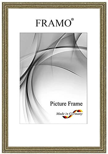 Framo Marco de fotos barroco antiguo, 40 x 60 cm, de madera maciza, plata antigua, color y tamaño a elegir, marco retro vintage antiguo N°088