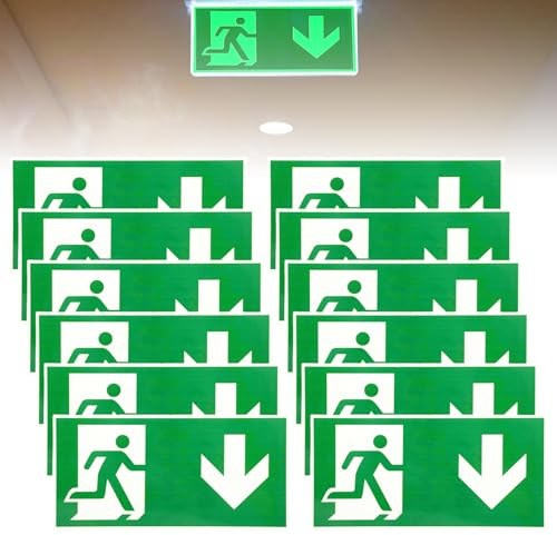 12 Stück Schild Notausgang: 300 x 150 mm Schild Notausgangsschild Extra Langnachleuchtend, Notausgangsschild Pfeil nach unten Reflektierend, Fluchtwegschild Rettungsweg (Nach unten)