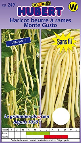 Graines de Haricot beurre à rames Monte Gusto - 125 grammes