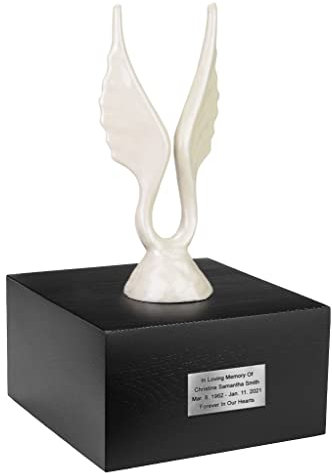 Gregspol Ltd Urne funéraire en forme d'ailes d'anges - Urne funéraire artistique pour cendres (ailes + plaque)