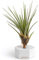 BOREEN - Plantas de Aire Tillandsia Tri con Soporte de Escritorio Decorativo (Hex. Cemento Blanco con Alambre de latón Dorado)