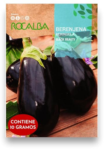 Semillas Berenjena Negra Variedad Black Beauty | Sobre 10 GR | Cultiva tus semillas de berenjenas negras en tu huerto para tener los mejores cultivos todo el año | Rocalba
