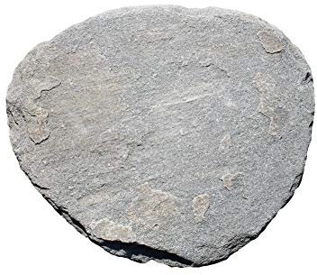Natursteinzentrum Rhein Main Trittsteine Step - Stones aus Quarzit, Stärke ca. 3-4,5cm, ca. 19 kg pro Stück