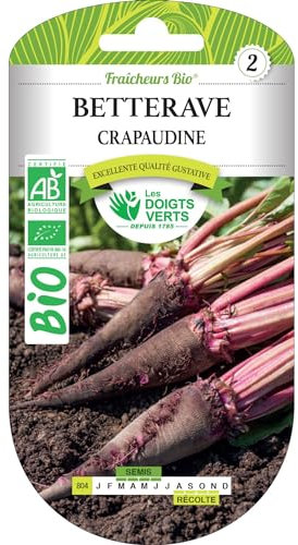 Graines Betterave Crapaudine BIO Les Doigts Verts