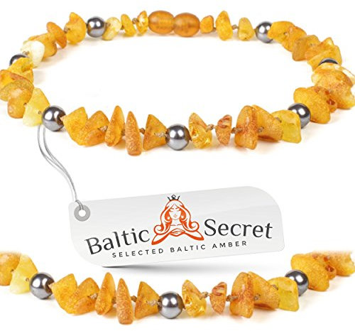 Bernsteinkette Hund | Bernsteinhalsband für Hunde und Katzen | Hundehalsband I Natürliches Halsband Hund aus echt Bernstein (28 cm)