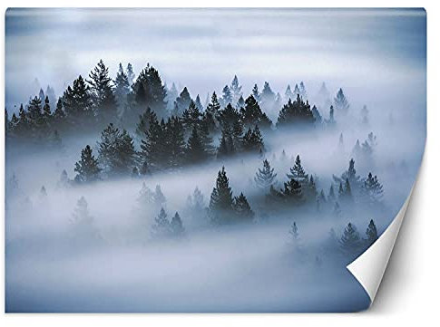 Feeby Wandtapete Fototapete Vlies Ansicht Wald Nebel 250x175 cm Grau Modern Tapete Wohnzimmer Schlafzimmer Bäume Natur