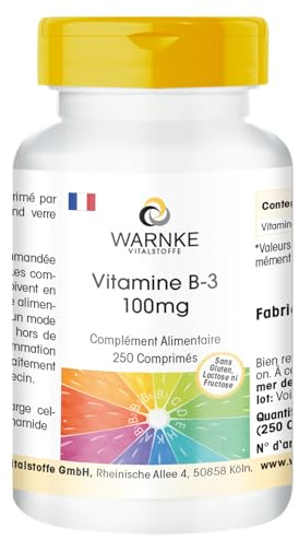 Vitamina B3 100mg - 250 comprimidos - 100mg de vitamina B3 niacina por comprimido - Nicotinamida - ALTA DOSIS - Calidad de farmacia alemana - Vegano | Warnke Vitalstoffe