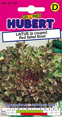 Graines de Laitue à Couper Red Salad Bowl - 2 grammes
