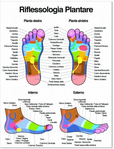ShaktiStore – Poster Riflessologia Plantare | 30×40 cm Patinata Gloss | Made in Italy