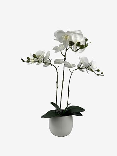 Elegant Large Triple Stem White Real Touch Artificial Potted Orchid (65cm) in Round White Ceramic Pot
