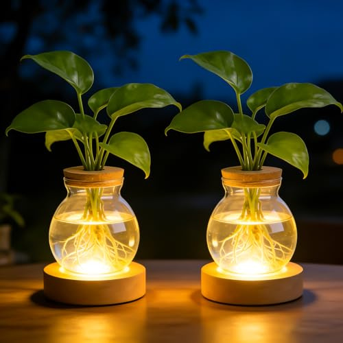 2 jarrones iluminados de cristal, estación de cultivo de plantas hidropónicas, estación de propagación de plantas, luz LED con base de madera, 3 niveles regulables para decoración de mesa, hidroponía