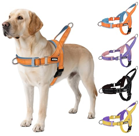 AIITLE Anti-drag-hundsele justerbar vadderad, orange-blå XL | Reflektorremsor, snabblås, justerbar, för valpar och alla hundar, träning, promenader, löpning, säker