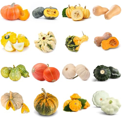 Semillas de calabaza - variedades antiguas balcón invernadero calabaza ornamental resistentes jardín del balcón de invierno extraño antiguas variedades 120pcs