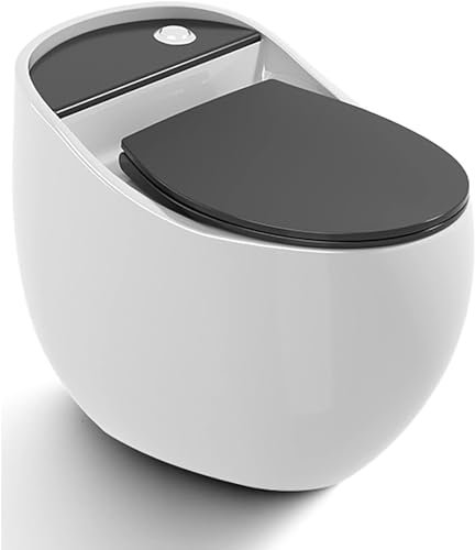 SaryEdge Inodoro Inteligente de una Sola Pieza con bidé de cerámica súper Moderno y silencioso para el baño del Hotel en casa(C-665x465x555mm
