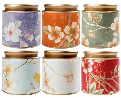 TooGet Barattoli di Latta per Tè 6Pcs - Conservazione del Tè in Foglie Sciolte Piccole Scatole Vuote Contenitori di Latta Ermetici Vintage con Coperchi, in Latta per Caffè, Erbe, Spezie