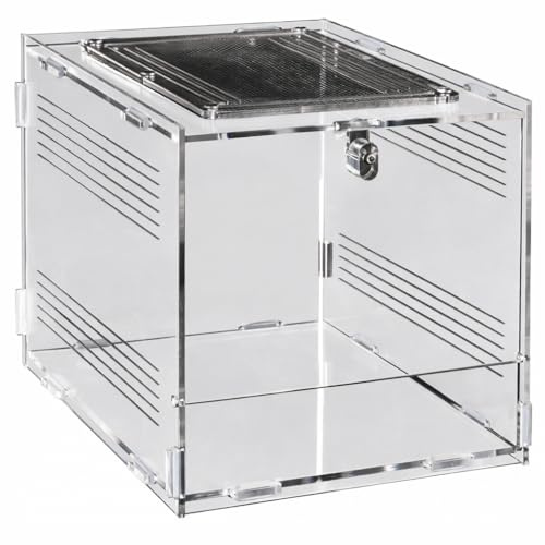 Repto Terra Clear Acrylic Terrarium with Mesh Top & Safety Lock – Compact Reptile & Invertebrate Enclosure, High Clarity, Easy Assembly (20 x 15 x 15.3)