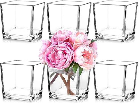 Comrzor Set of 6 Square Glass Vases 5 x5 x 5, Clear Flower Vases for Centerpieces, Candle Holder for Wedding Party Events, Home Décor