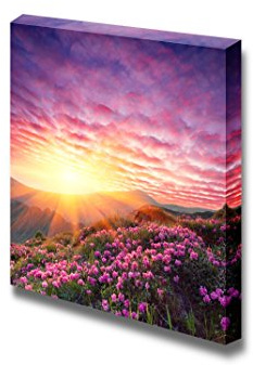 Spring Landscape in Mountains with Flower of a Rhododendron and The Sky with Cloud - Canvas Art Wall Art - 16 x 16