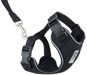 RC Pets Adventure Kitty Harness Includes Adjustable, Airmesh Fabric, 6' Leash and D-Ring Cat Walking Harness | Black, Medium