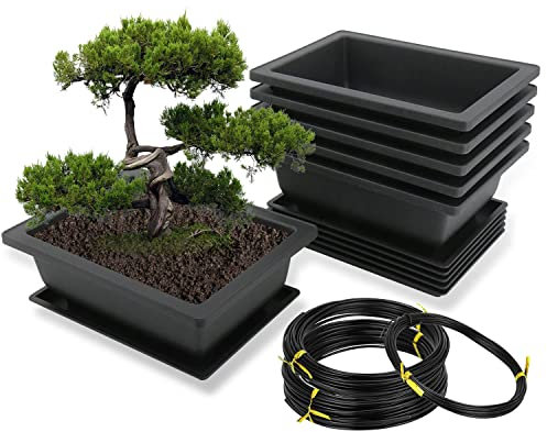 MissFox Lot de 6 Pots Rectangulaires pour Bonsaï avec Soucoupe, 16x12x6cm, Pots de Fleurs en Plastique avec Fil en Aluminium 1.5mm/2.0mm/3.0mm pour L'Entretien