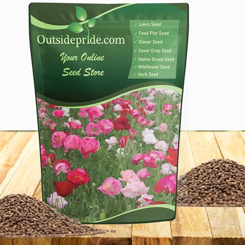Outsidepride Shirley Poppy Seeds for Planting - 1 lb Annual, Drought-Tolerant & Easy to Grow Wildflower Seeds with Vibrant Mix Blooms for Landscaping, & Pollinator Garden
