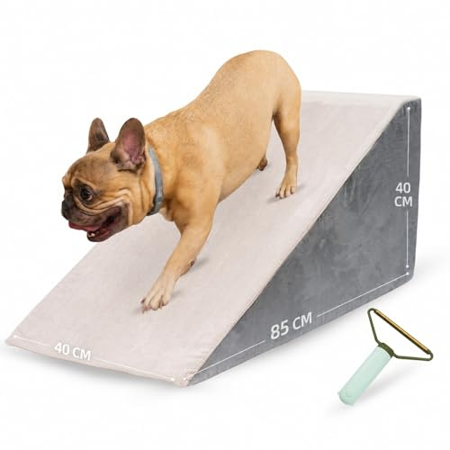 Rampa per cani (grandi e piccoli) - L'aiuto quotidiano per montare sul divano, sul letto o sull'auto ed evitare lesioni. Scala antiscivolo, fodera lavabile e spazzola inclusa, supporto
