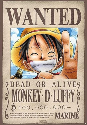 One Piece Wanted Unisexe Poster Standard Papier 68 x 98 cm