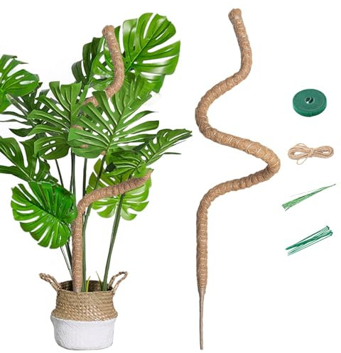 Mcbazel Tuteur Plante Grimpante Coco sur Piquet de Plante 160cm, Support Tuteur de Coco Largeur de 7mm Pliable Poteau de Croissance Grimpantes pour Monstera/Jardin Domestique