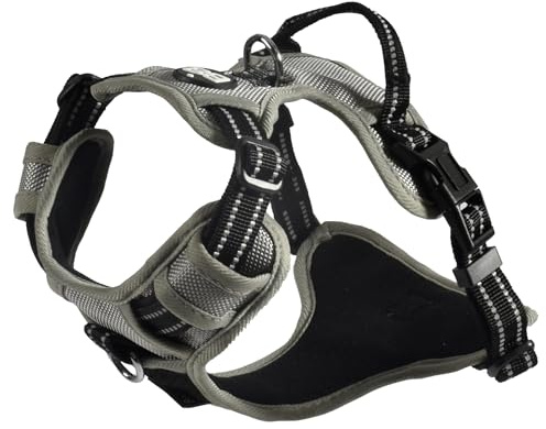 Bobby Rando Walk Harnais pour Chien Taille XS, en Nylon réfléchissant, Boucles réglables à Fermeture sûre, Facile à Porter, Gris Ras du Cou 20-32 cm, Tour de Poitrine 36-43 cm