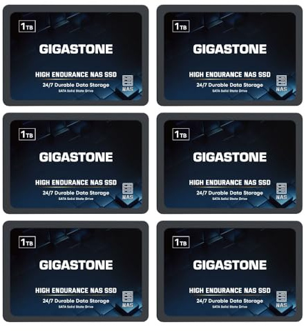 Gigastone NAS SSD 1TB SSD Festplatte (6er-Pack) TLC Hohe Dauerhaltbarkeit SSD für 24/7 Dauerbetrieb NAS-Systeme RAID 2,5 Zoll SATA III Internes Festkörper-Laufwerk NAS Caching