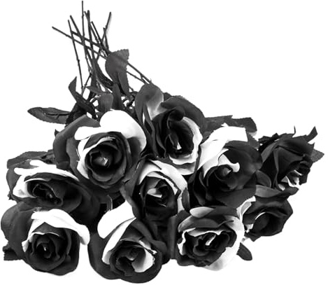 Roses Noires et Blanches 10pcs Halloween - Réalistes 14,6'' Fleurs Artificielles Longue Durée Avec Tiges - Gothic Silk Flowers Centorpiece Décorations Halloween Style 1
