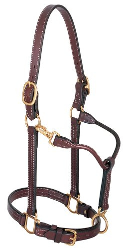 Leather Horse Track Halter, Mahogany, 1 Cob