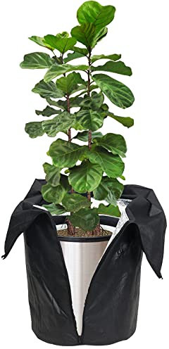 Cappuccio Protezione Piante Ø45cm × H55cm, Protezione Invernale per Piante, Copri Piante Inverno, Borsa per Piante Tessuto, Sacco Piante Poliestere, Antigelo Sacchetti per Piante in Vaso Palma Limone