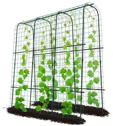 ZIKEBTUY Rankhilfe gurken 180cm hohes Rankhilfe Rankbogen aus Metall Gartenbogengitter mit Gartenklammern und gedrehtem Riemen für Kletterpflanzen Wein Gemüse Obst Blumen Hof Rasen (180x50x180cm)