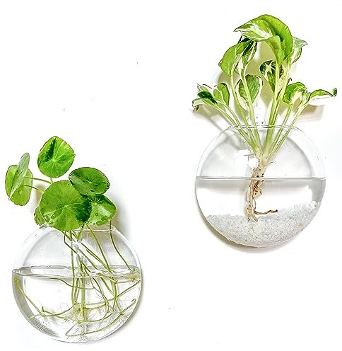 Kingbuy Lot de 2 Pots de Fleurs en Verre à Suspendre - Vases muraux ovales pour Plantes hydroponiques d'intérieur, Salle de Bain, Salon, Bureau, Cadeau pour Femme, Maman, Amoureux des Plantes