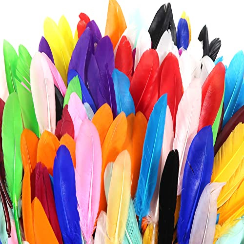 TOAOB 100 Pezzi Piume Colorate Decorative Piume Naturali Oca Piuma Carnevale per Feste Decorazione Fai da Te Acchiappasogni Scrapbooking Artigianato