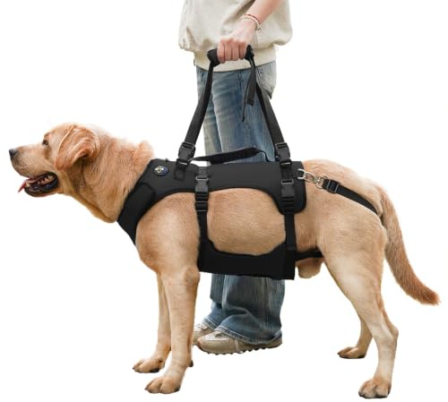 COODEO Imbracatura per Cane, Gilet di Supporto Completo e Recupero, Regolabile e Traspirante, per Cani Anziani, Disabili, con Lesioni Articolari, Artrite e Paralisi. (Nero, 2XL)