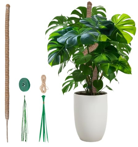 Mcbazel Supporto per Monstera in Muschio per Piante, 120 cm Bastone di Cocco Flessibile Versione Audace per Piante Rampicanti Grandi, Supporto in Muschio Fai-da-te con Accessori per Piante da Interno