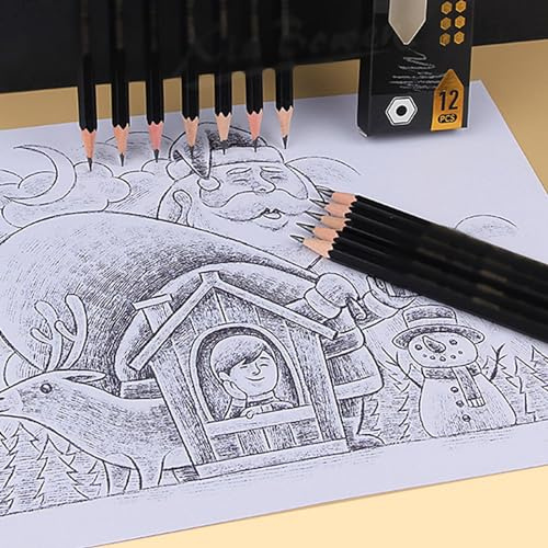 Haofy Juego de Dibujo a Lápiz de Carbón, 12 Uds. Lápices de Dibujo Premium para Principiantes y Artistas, Perfecto para Sombrear y Mezclar