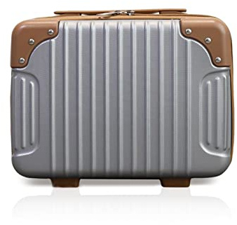 Balakaka Vanity Case 30 * 15 * 22cm, 10L Cosmetic Case with Handle and Zip Wear-Resistant, Hard Shell Beauty Case Makeup Box for Women Girls, Silver Grey