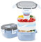 Wohntec ensaladera 1600ML bento box con bolsa de hielo, 4 compartimentos para ensalada y aperitivos, ensaladera con recipiente para aliños, fiambrera caja de desayuno para escuela picnic oficina Azúl