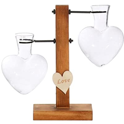 BLWOTMOR Desktop Plant Terrarium Glass Planter Bulb Vase Wooden Stand Holder for