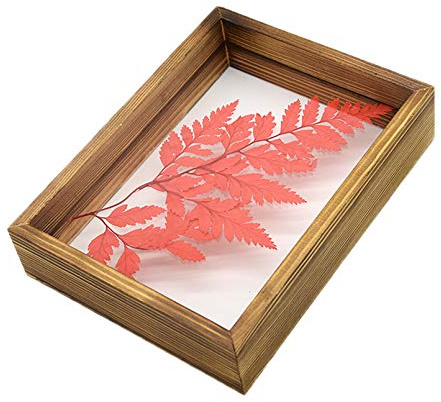 Plant Dried Flower Specimen Frame Double Sided Acrylic Glass Photo Frame DIY Picture Frame for Home Decoration Brown