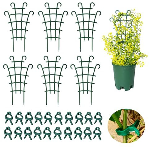 Tuteur Plante Grimpante, Grimpante Intérieur, Support pour Plantes De Jardin 6 Pièces, avec Pinces à Plantes 20 Pièces, Clips pour Plantes Grimpantes, pour Jardin, Hoya, Pothos, Fleurs