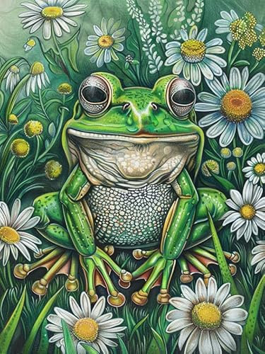 Bimkole 5D Diamond Paintinger För Vuxna Groda, Full Borrmålning Gör-det-själv Strass Broderi Set Färg Med Diamanter Kit Tusensköna Djur Korsstygn Hem Vägg Hantverk Dekoration 30x40cm