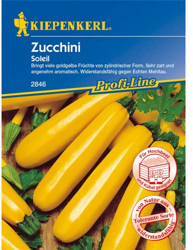 Zucchini Soleil goldgelb