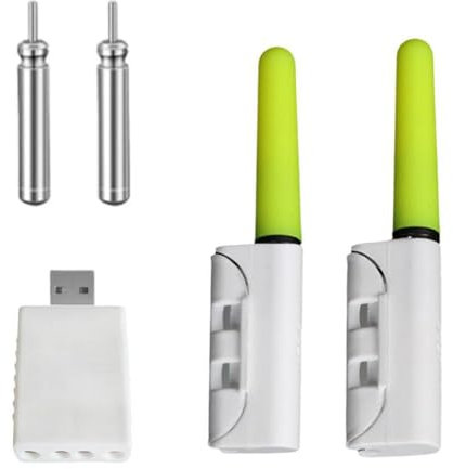 Lot de 2 bâtons lumineux LED pour canne à pêche, lumière de nuit, alerte de poisson, CR425, 2 piles rechargeables