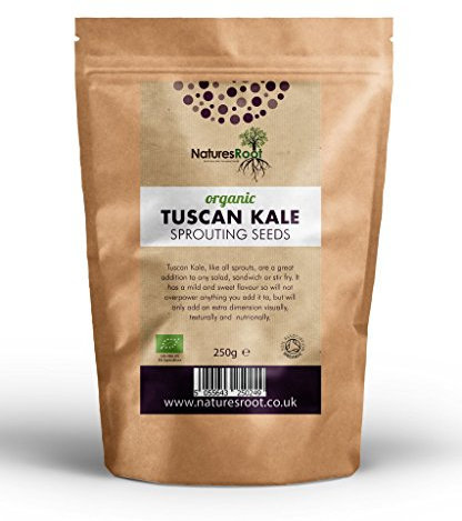 Natures Root Organic 'Nero di Toscana' Kale Seeds 125g (Approx 30000 Seeds) - Cavolo Nero | Black Cabbage | Tuscan Kale | Sowing Vegetable Seeds | Planting | Sprouting